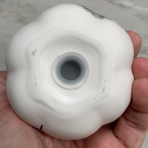 Rae Dunn Pumpkin Salt and Pepper Shakers - Picture 7 of 12